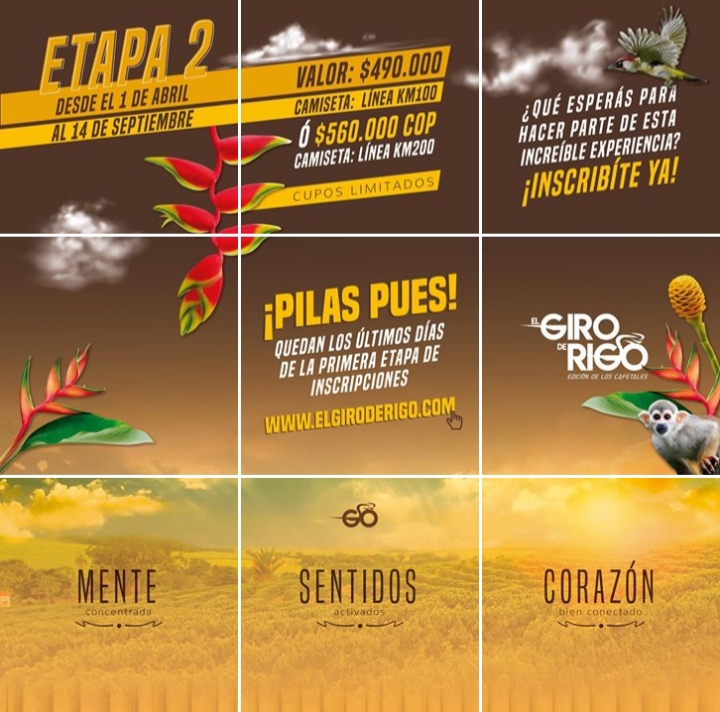 ARRANCA LA ETAPA DOS DE LAS INSCRIPCIONES AL GIRO DE RIGO POR EL QUINDÍO